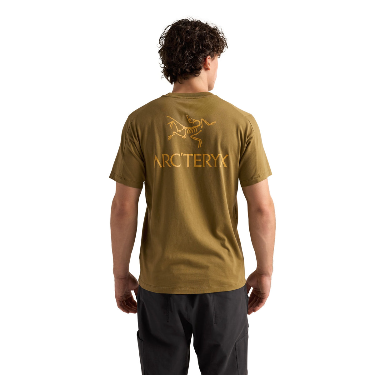 Arc'teryx Men's Kragg SL Cotton Bird Word Short Sleeve Tee Bracken/Larch - 53 Degrees North