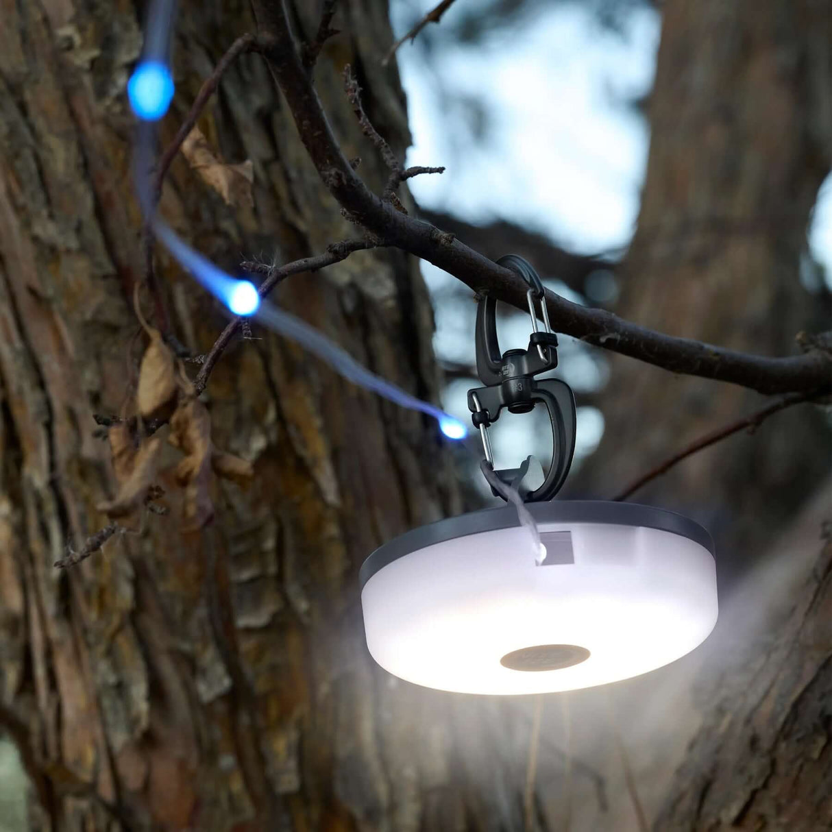 Nite Ize S-Biner SlideLock #4 Black #- 53 Degrees North 