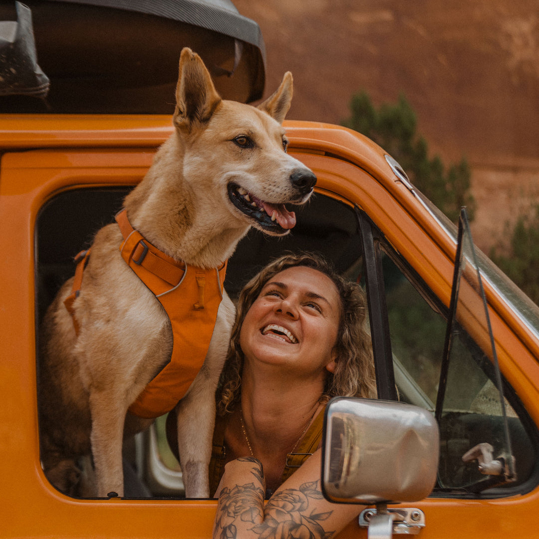 Ruffwear Front Range Dog Harness #color_campfire-orange