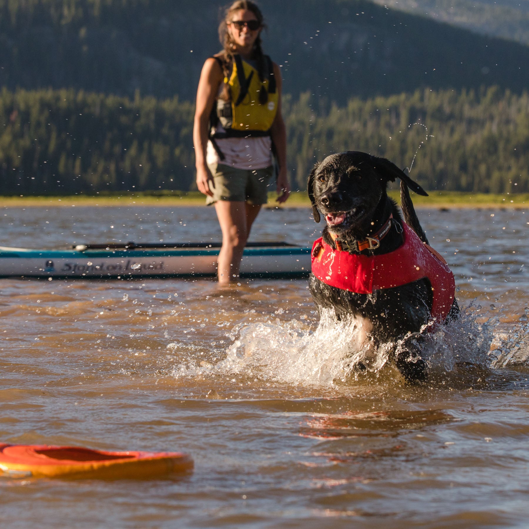 Ruffwear float deals coat sale