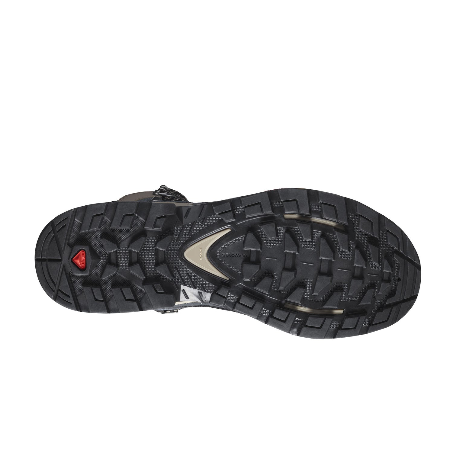 Salomon Women's Quest Element GORE-TEX Hiking Boots Ebony/Rainy Day/Stormy Weather / UK 4-Ebony/Rainy Day/Stormy Weather / UK 5-Ebony/Rainy Day/Stormy Weather / UK 6-Ebony/Rainy Day/Stormy Weather / UK 7-Ebony/Rainy Day/Stormy Weather / UK 8 #- 53 Degrees North 