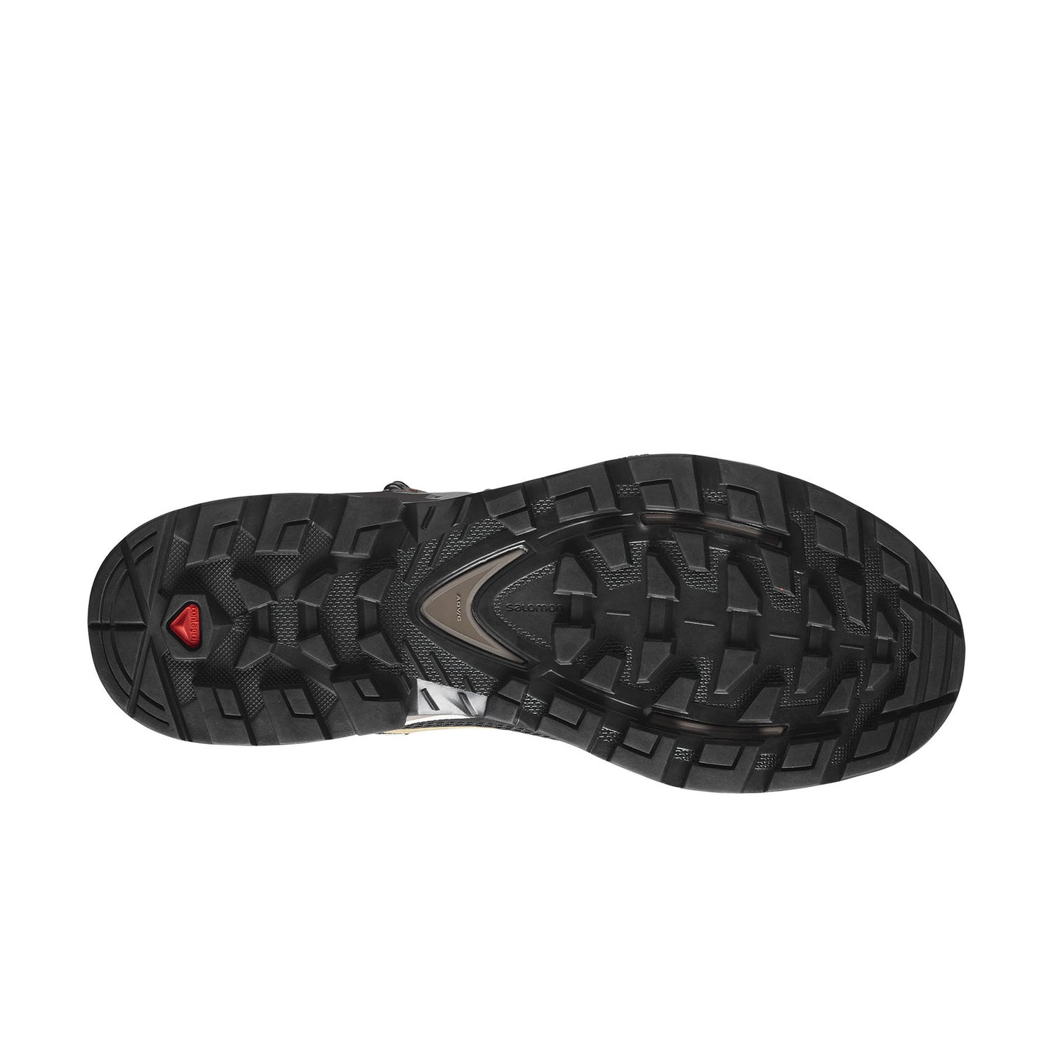 Salomon Women's Quest Element GORE-TEX Hiking Boots Ebony/Rainy Day/Stormy Weather / UK 4-Ebony/Rainy Day/Stormy Weather / UK 5-Ebony/Rainy Day/Stormy Weather / UK 6-Ebony/Rainy Day/Stormy Weather / UK 7-Ebony/Rainy Day/Stormy Weather / UK 8 #- 53 Degrees North 