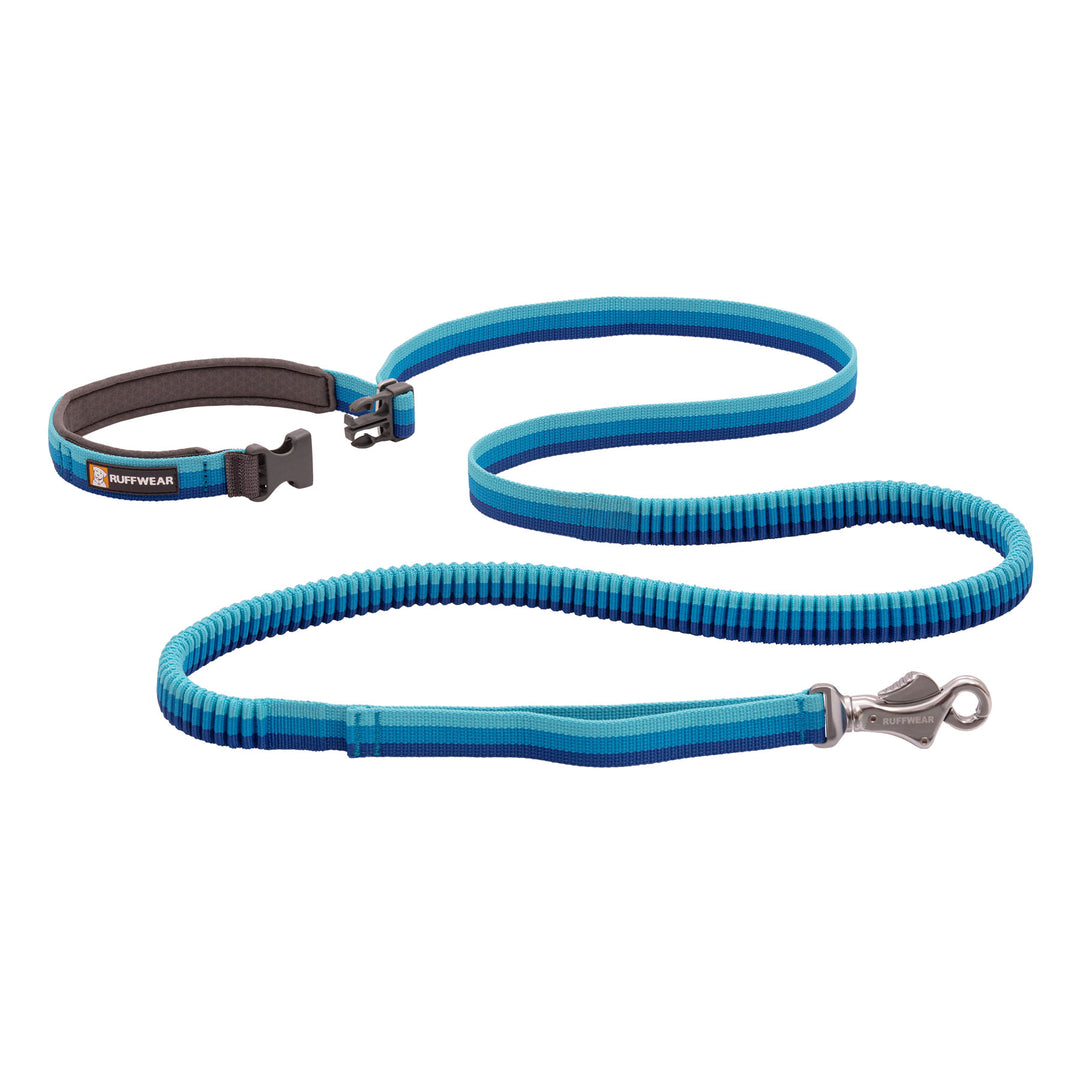 Ruffwear Roamer Bungee Dog Leash #color_blue-atoll