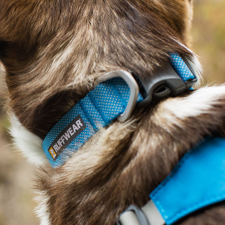Ruffwear Hi & Light Lightweight Dog Collar Blue Dusk / 28-36 cm (11"-14")-Blue Dusk / 36-51 cm (14"-20")-Blue Dusk / 51-66 cm (20"-26")-Basalt Grey / 28-36 cm (11"-14")-Basalt Grey / 36-51 cm (14"-20") #- 53 Degrees North 