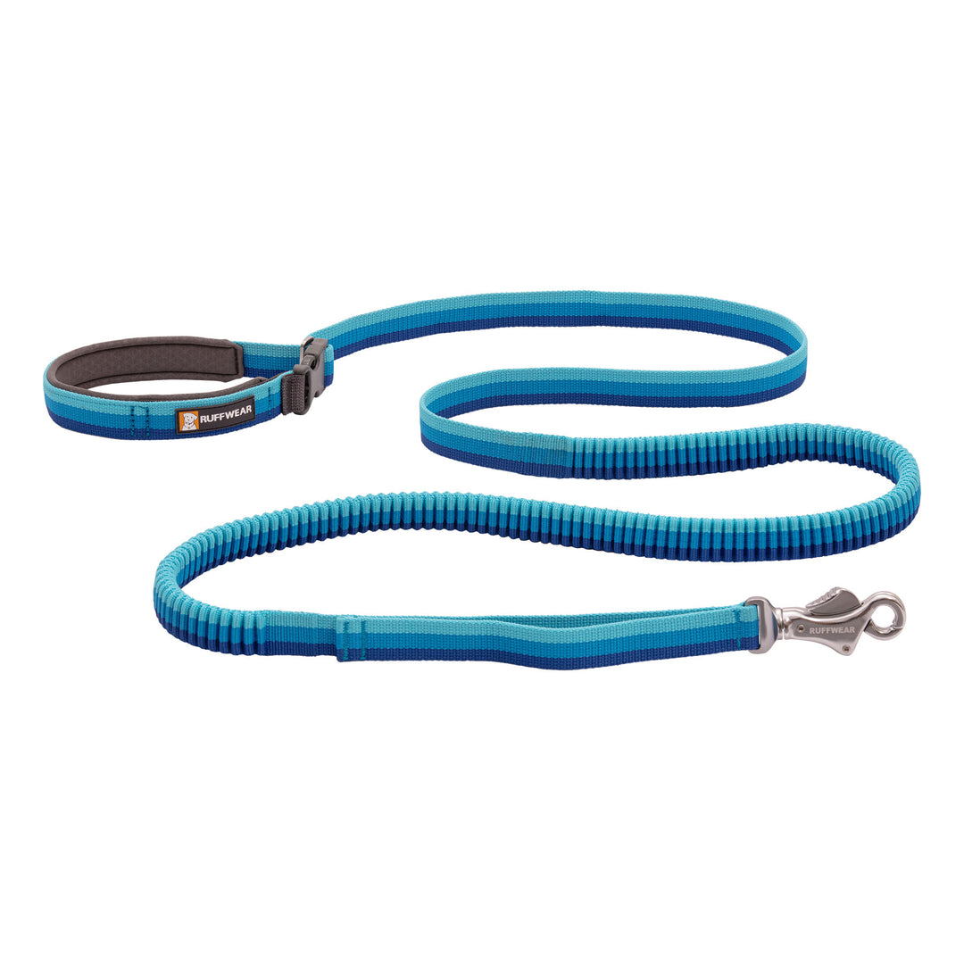 Ruffwear Roamer Bungee Dog Leash #color_blue-atoll