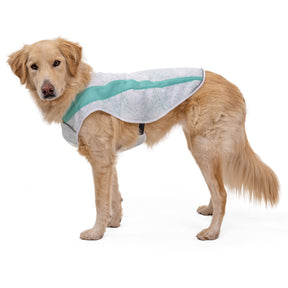 Ruffwear Swamp Cooler Dog Cooling Vest Sage Green / X-Small-Sage Green / Small-Sage Green / Medium-Sage Green / Large-Sage Green / X-Large #- 53 Degrees North 