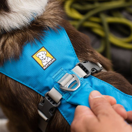 Ruffwear Flagline Dog Harness with Handle Blue Dusk / X-Small-Blue Dusk / Small-Blue Dusk / Medium-Blue Dusk / Large-Salmon Pink / X-Small #- 53 Degrees North 