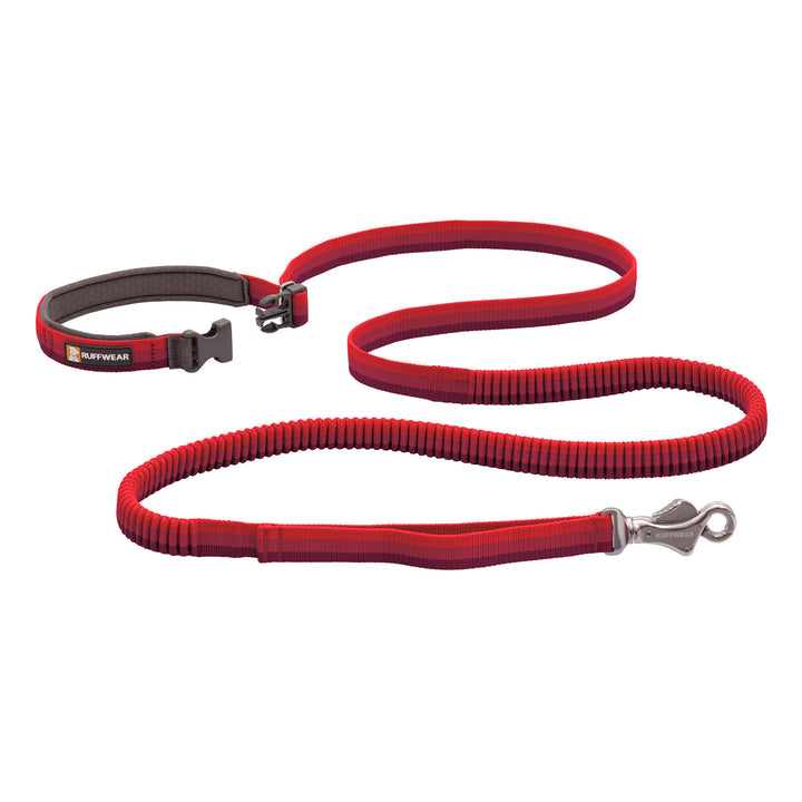 Ruffwear Roamer Bungee Dog Leash #color_red-sumac