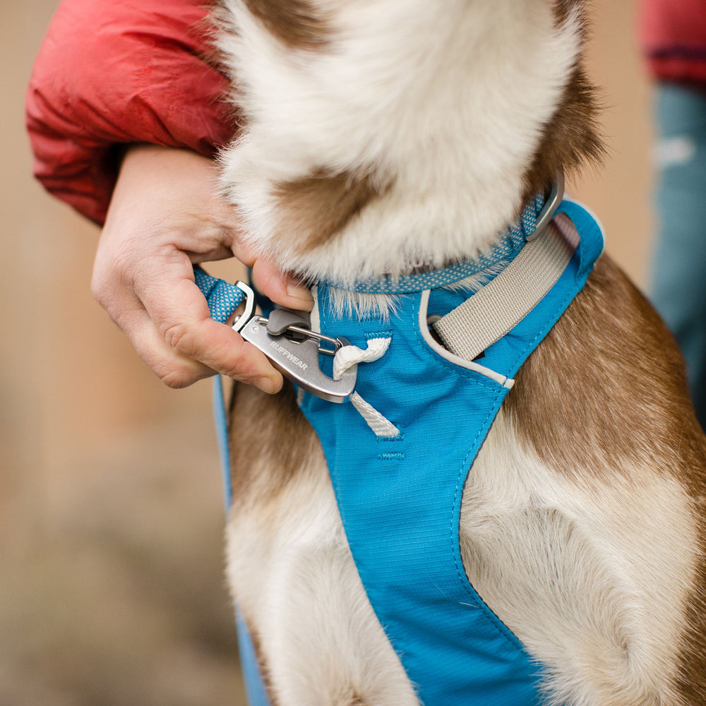 Ruffwear Flagline Dog Harness with Handle #color_blue-dusk