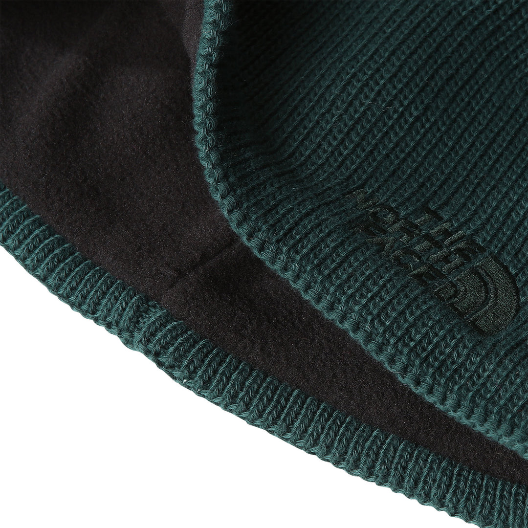 The North Face Unisex Bones Recycled Beanie #color_ponderosa-green