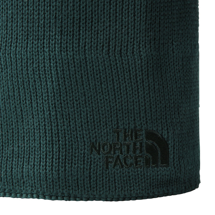 The North Face Unisex Bones Recycled Beanie #color_ponderosa-green