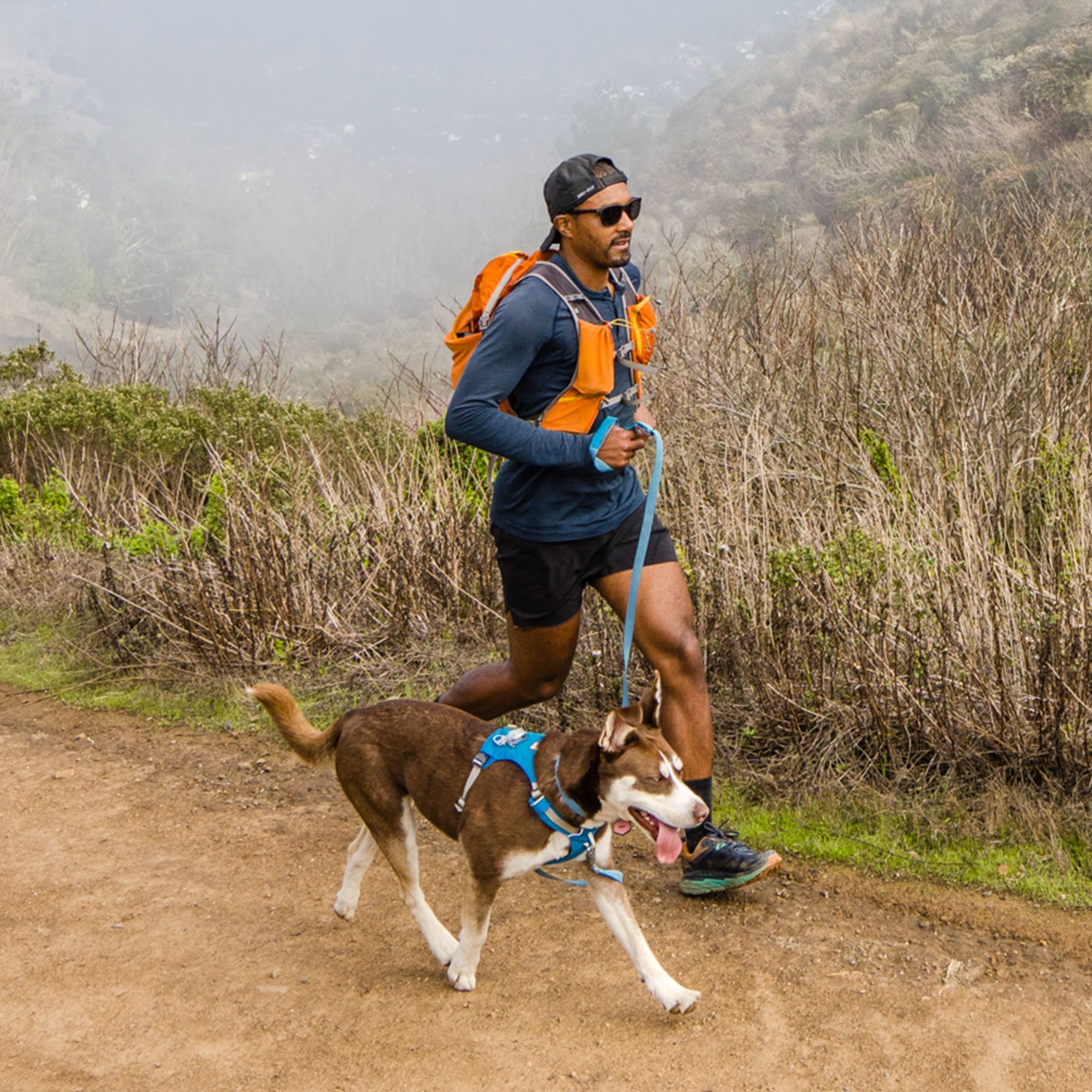 Ruffwear sales running harness