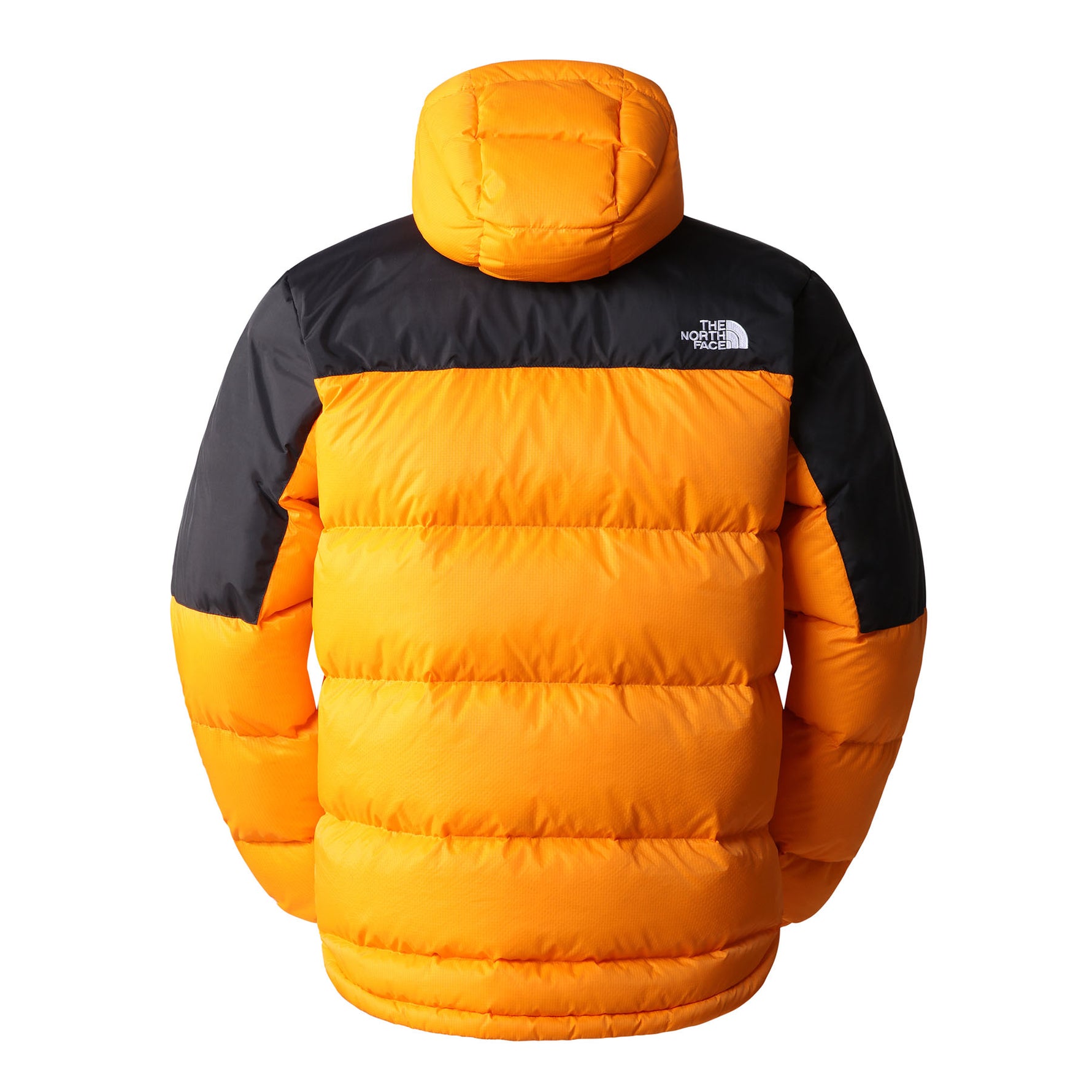 The North Face Men's Diablo Down Hooded Jacket 