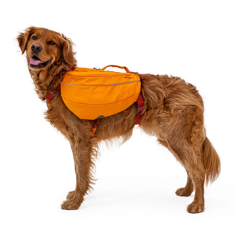 Ruffwear Approach Dog Backpack Campfire Orange / Small-Campfire Orange / Medium-Campfire Orange / Large #- 53 Degrees North 