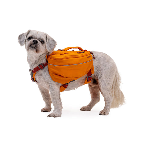 Ruffwear Approach Dog Backpack Campfire Orange / Small-Campfire Orange / Medium-Campfire Orange / Large #- 53 Degrees North 