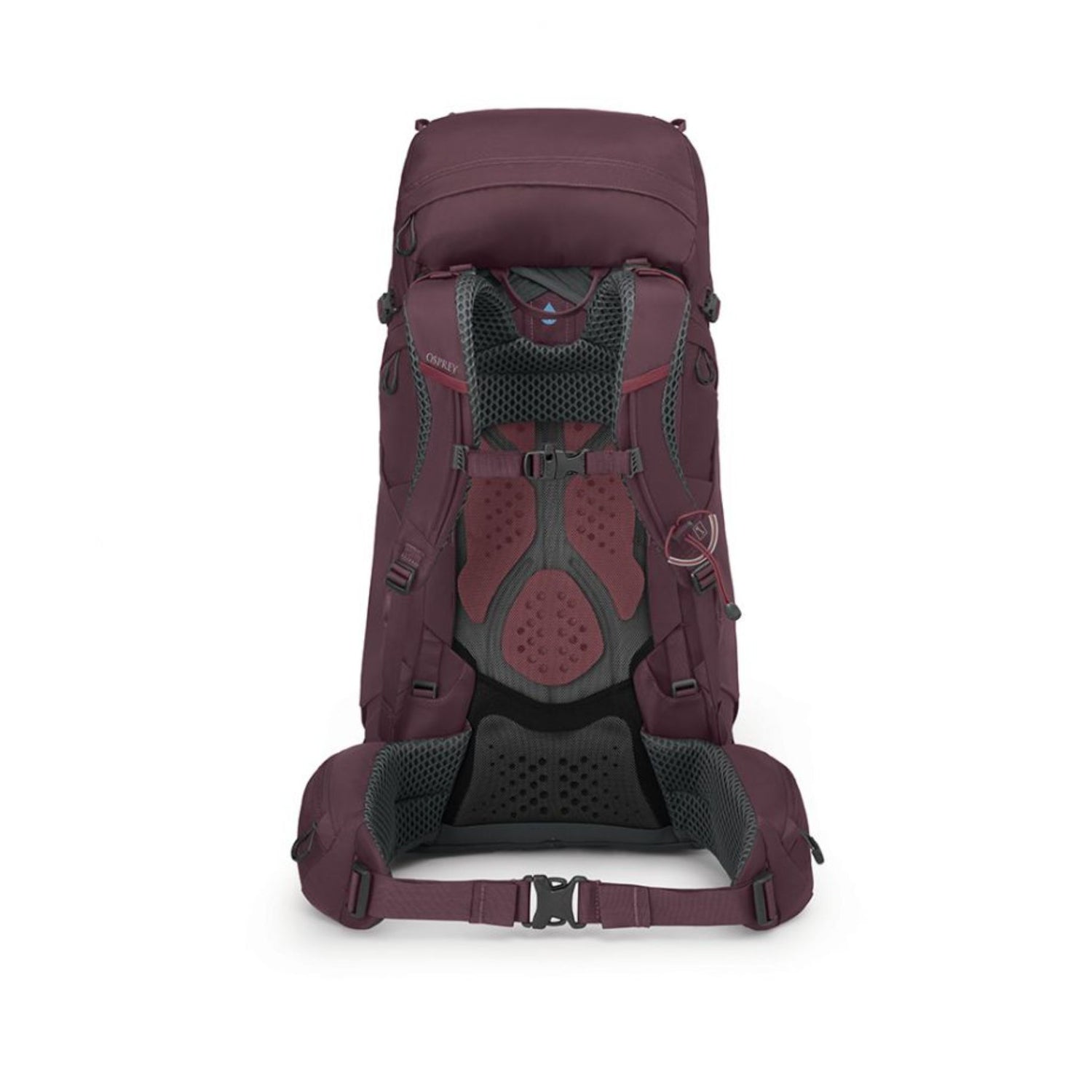 Osprey Kyte 48 Backpack Elderberry Purple / X-Small/Small-Elderberry Purple / Medium/Large #- 53 Degrees North 