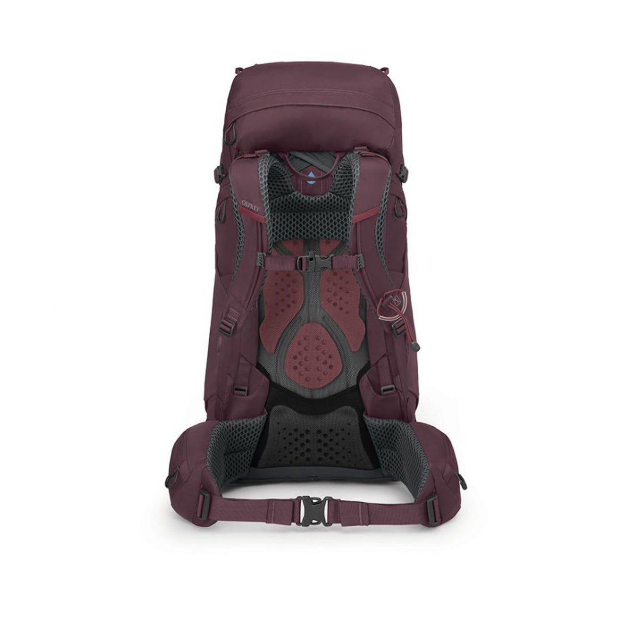 Osprey Kyte 48 Backpack Elderberry Purple / X-Small/Small-Elderberry Purple / Medium/Large - 53 Degrees North 
