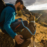 Ruffwear Hi & Light Lightweight Dog Collar Blue Dusk / 28-36 cm (11"-14")-Blue Dusk / 36-51 cm (14"-20")-Blue Dusk / 51-66 cm (20"-26")-Basalt Grey / 28-36 cm (11"-14")-Basalt Grey / 36-51 cm (14"-20") - 53 Degrees North 