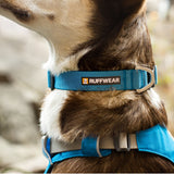 Ruffwear Hi & Light Lightweight Dog Collar Blue Dusk / 28-36 cm (11"-14")-Blue Dusk / 36-51 cm (14"-20")-Blue Dusk / 51-66 cm (20"-26")-Basalt Grey / 28-36 cm (11"-14")-Basalt Grey / 36-51 cm (14"-20") - 53 Degrees North 