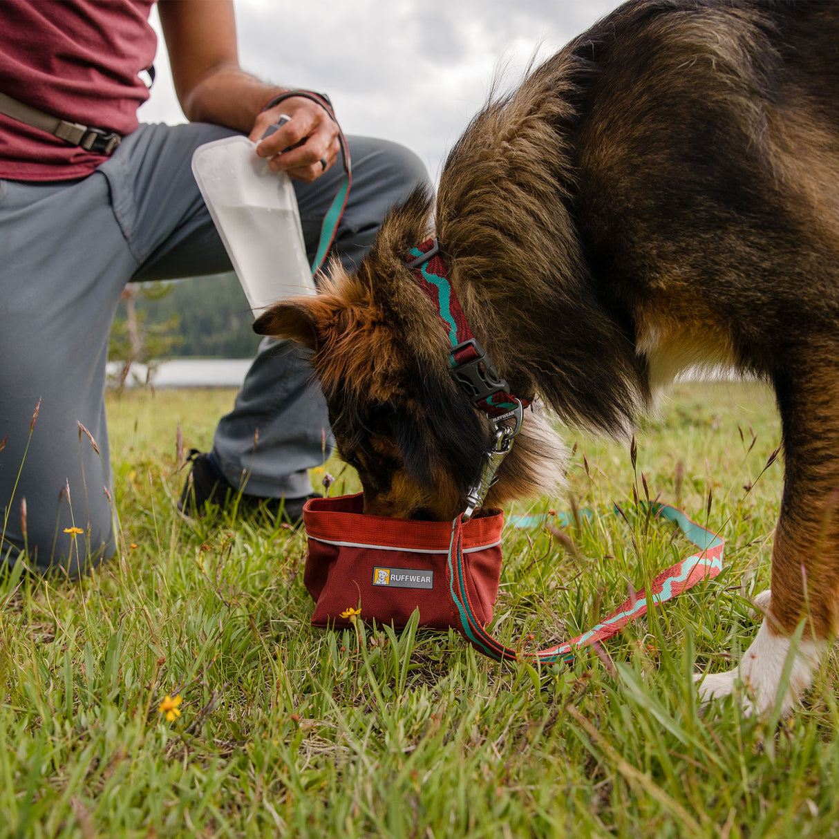 Ruffwear Quencher Packable Dog Bowl Fired Brick / Medium-Fired Brick / Large-Tumalo Teal / Medium-Tumalo Teal / Large-Huckleberry Blue / Medium - 53 Degrees North 