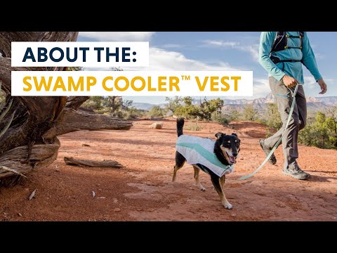 Swamp Cooler Dog Cooling Vest